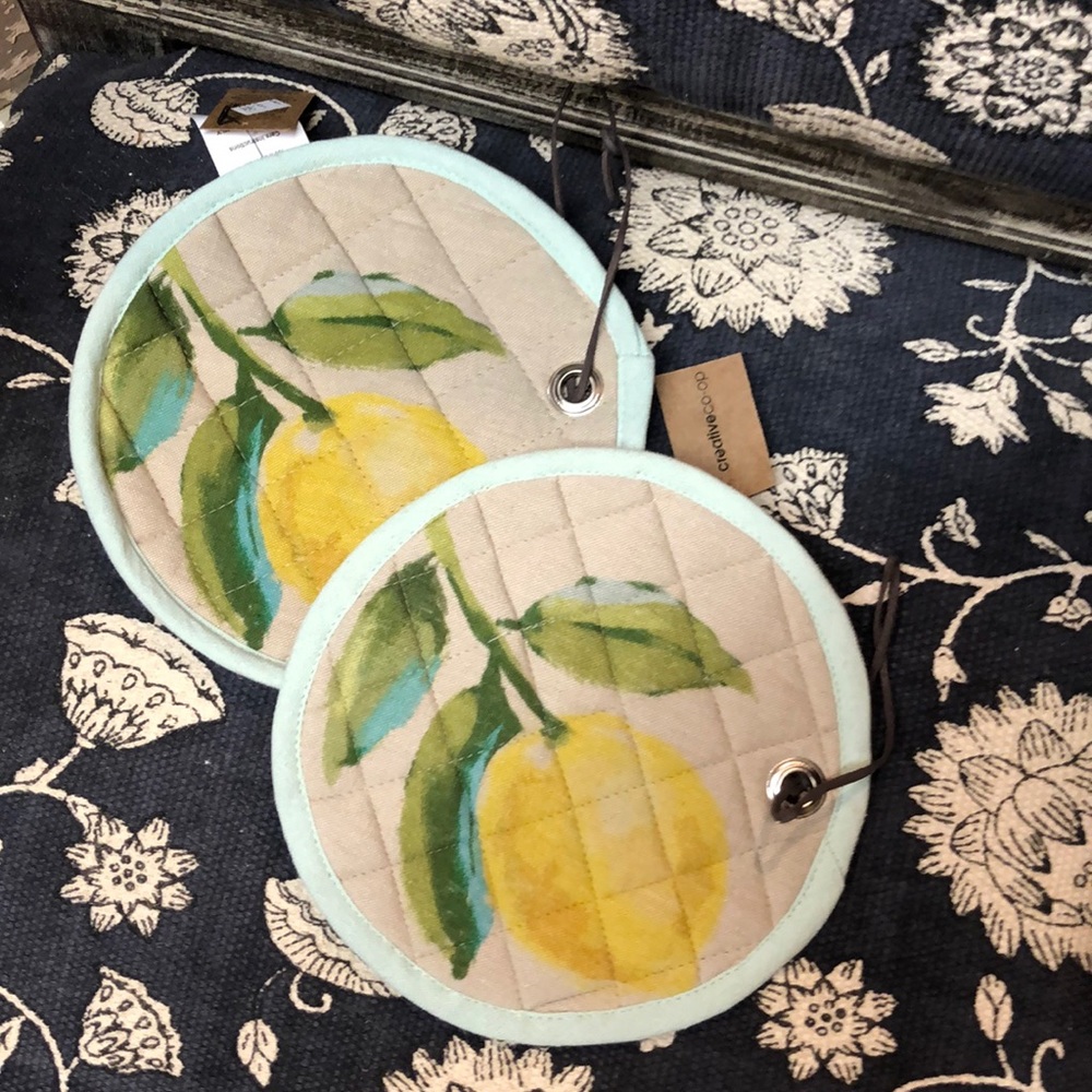 Set of 2 Lemon Pot Holders